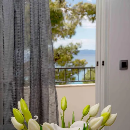 公寓 Apartman Ane - Beachfront *